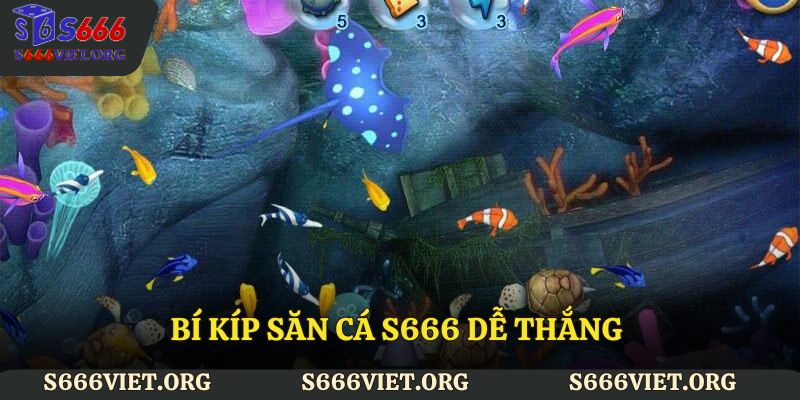 Bí kíp săn cá S666 dễ thắng từ các cao thủ